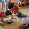 Robotépítő tábor 2014